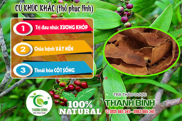 củ khúc khắc (thổ phục linh) thảo dược thanh bình