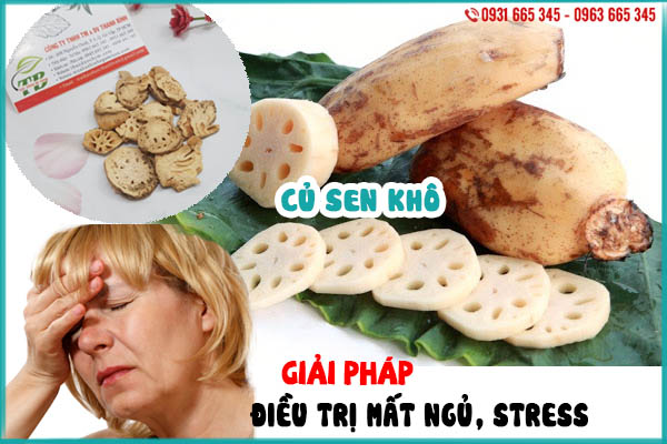 củ sen khô thảo dược thanh bình