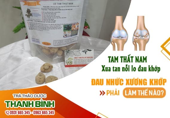 củ tam thất nam thảo dược thanh bình