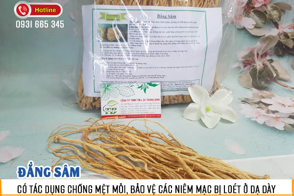 đẳng sâm thảo dược thanh bình