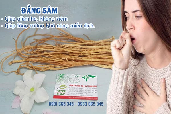 đẳng sâm thảo dược thanh bình