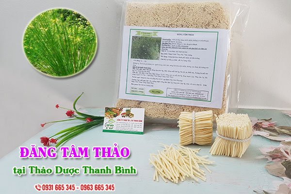 Đăng tâm thảo Thảo Dược Thanh Bình