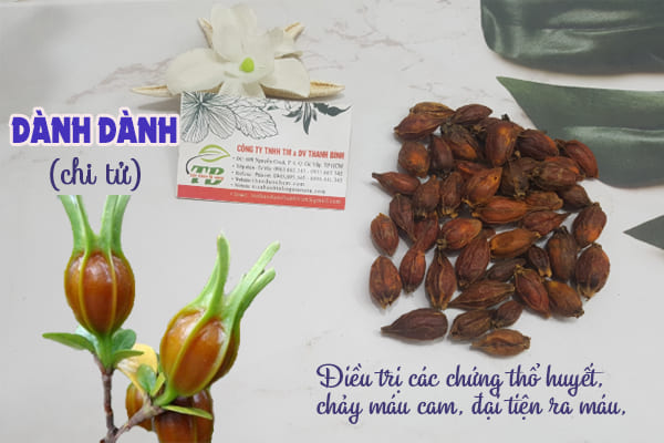 dành dành thảo dược thanh bình