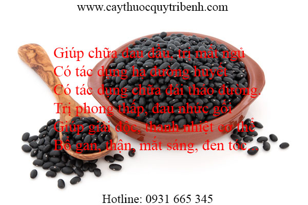 mua-dau-den-xanh-long-tai-tp-hcm-uy-tin-chat-luong-nhat