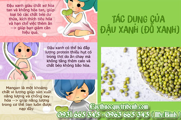 đậu xanh