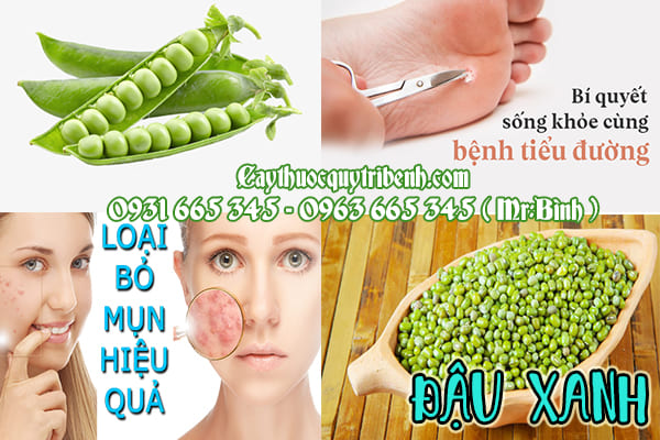 đậu xanh