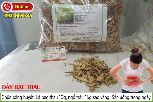 dây bạc thau thảo dược thanh bình