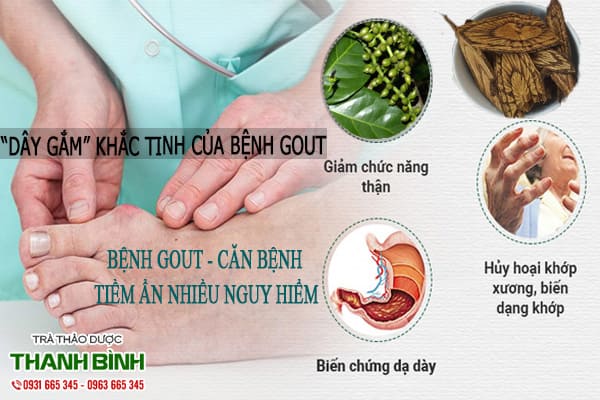 dây gắm thảo dược thanh bình
