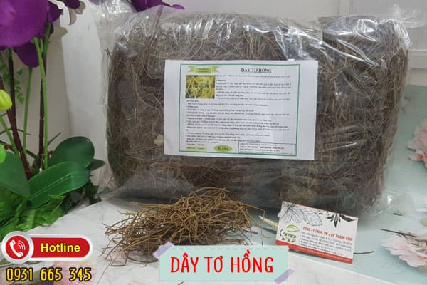dây tơ hồng Thảo Dược Thanh Bình