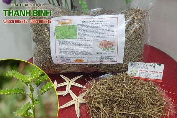 diệp hạ châu thanh bình