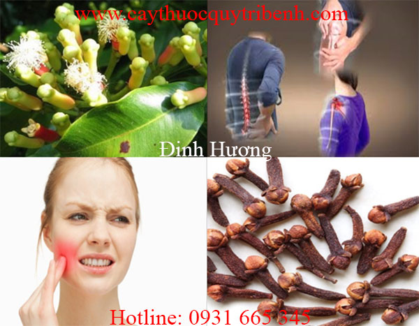 mua-dinh-huong-o-dau-tai-tp-hcm