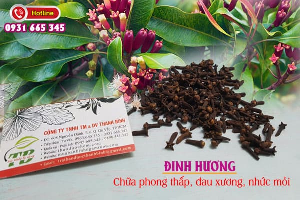 đinh hương Thảo Dược Thanh Bình
