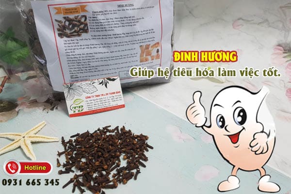 đinh hương Thảo DƯợc Thanh Bình