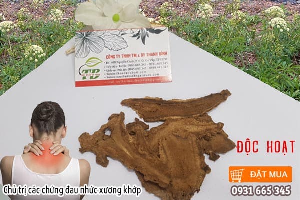 độc hoạt Thảo Dược Thanh Bình