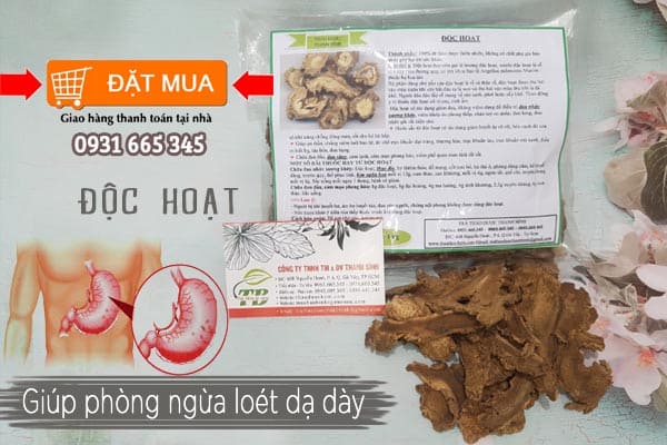 độc hoạt Thảo Dược Thanh Bình