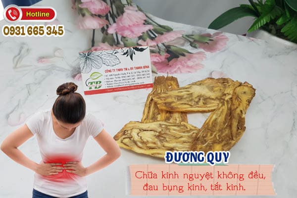 đương quy thảo dươc thanh bình