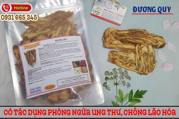 đương quy thảo dươc thanh bình