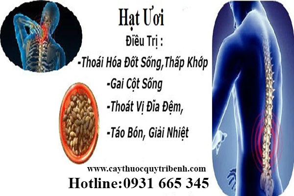 hạt ươi