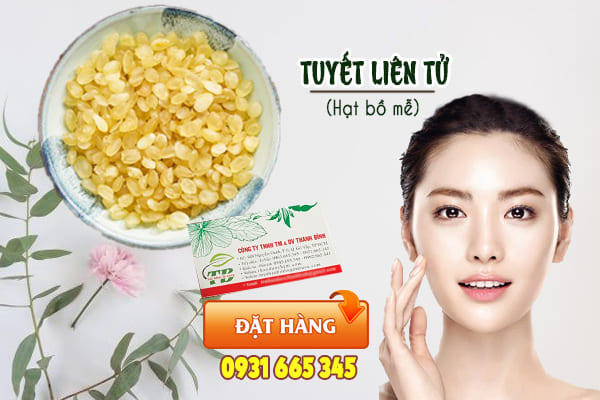 tuyet lien tu (hat bo me) Thao Duoc Thanh Binh