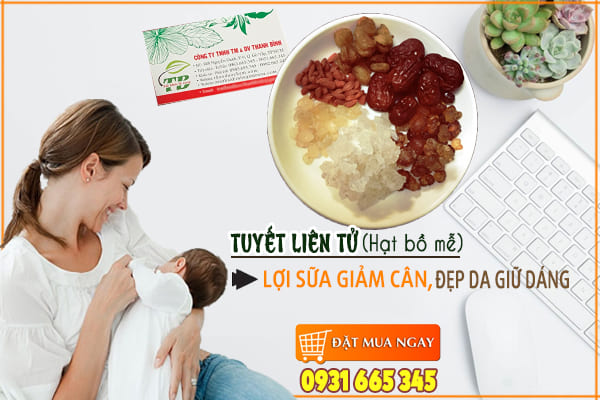 tuyet lien tu (hat bo me) Thao Duoc Thanh Binh
