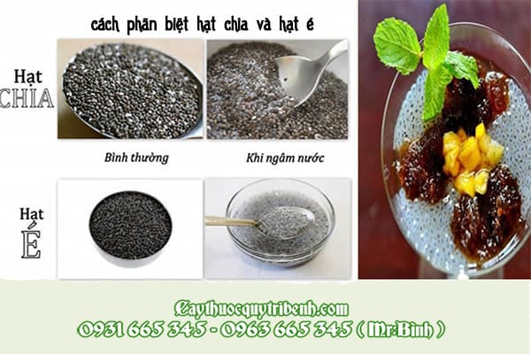 hạt é