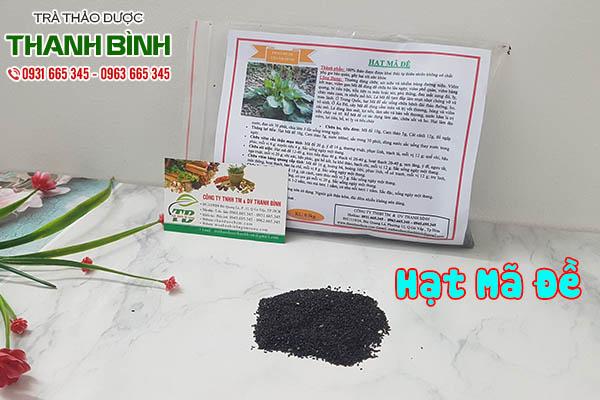hạt mã đề thảo dược thanh bình