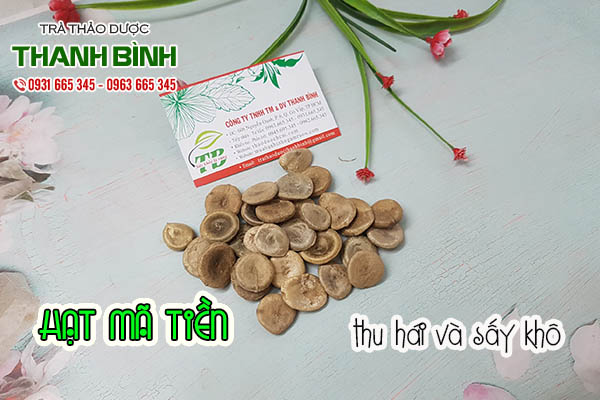 hạt mã tiền thảo dược thanh bình