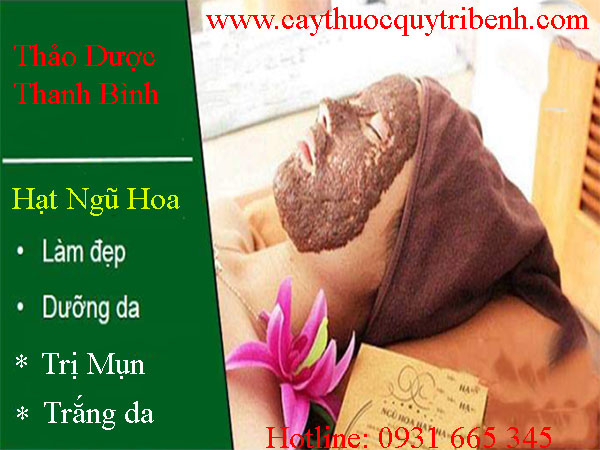 mua-hat-ngu-hoa-o-dau-tai-tp-hcm