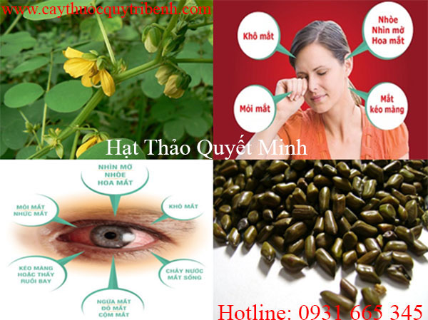 thảo quyết minh