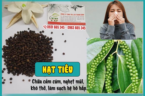 hạt tiêu thảo dược thanh bình