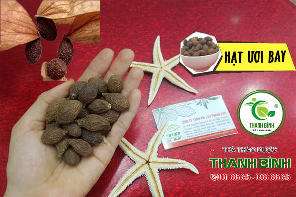 hạt ươi thanh bình