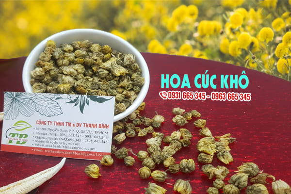 hoa cúc khô thanh bình