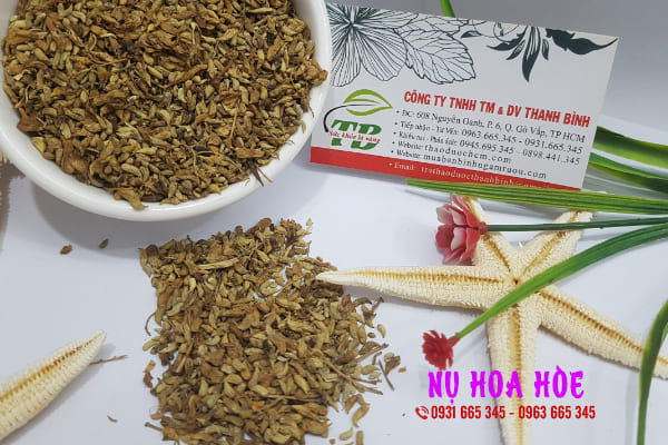 nụ hoa hòe thảo dược thanh bình