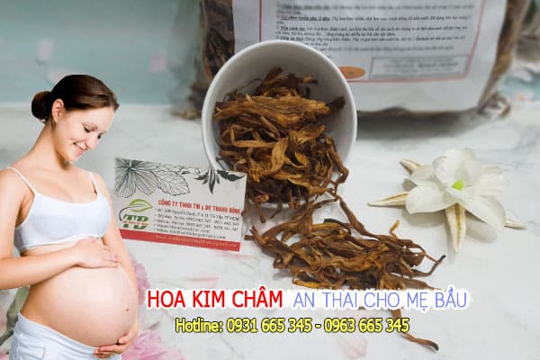 hoa kim châm thảo dược thanh bình