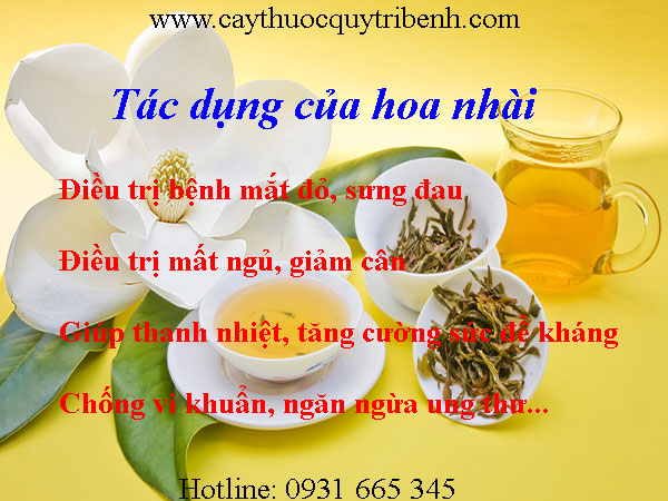 hoa nhài