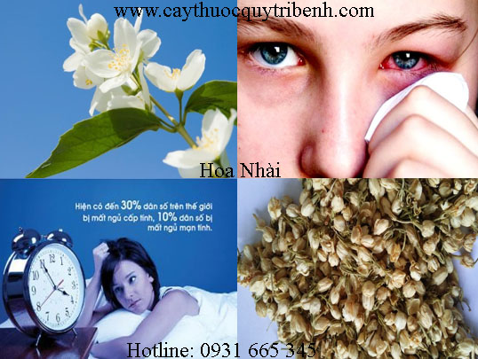 hoa nhài