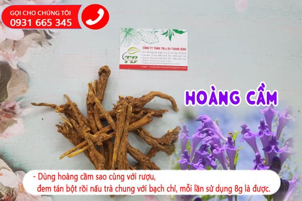hoàng cầm thảo dược thanh bình