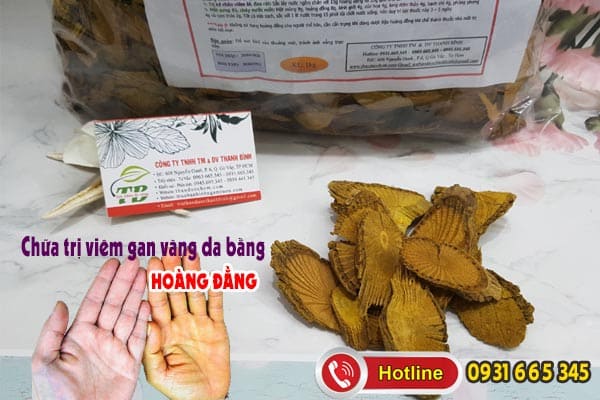 hoàng đằng Thảo Dược Thanh Bình