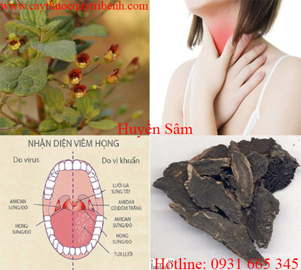 huyền sâm