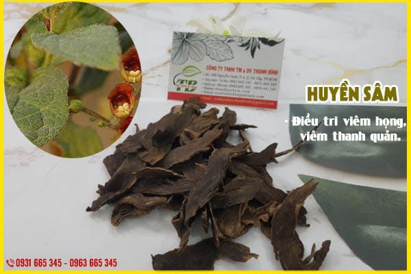 huyền sâm thảo dược thanh bình