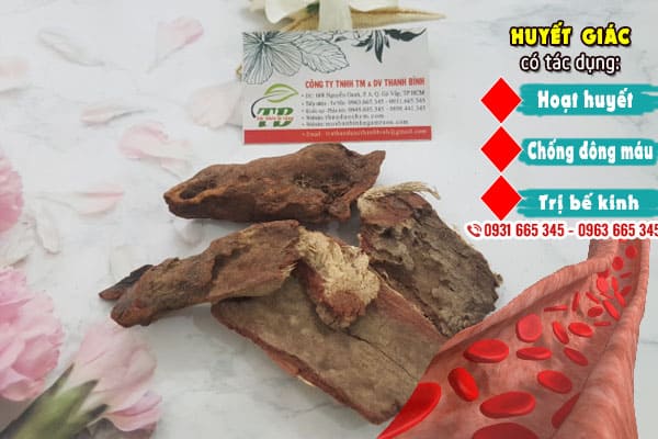 huyết giác thảo dược thanh bình