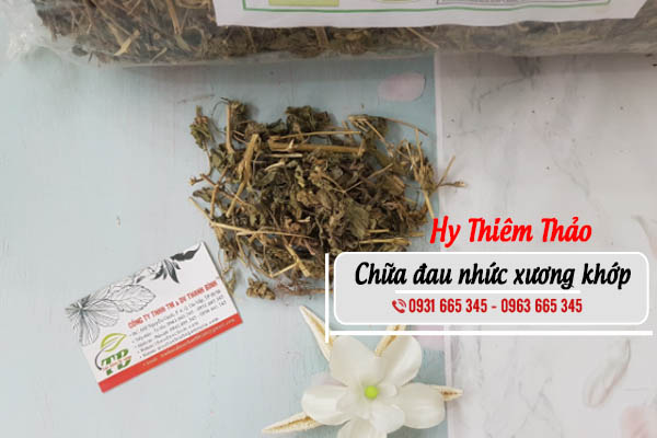 hy thiêm thảo thảo dược thanh bình