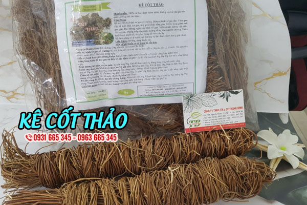 kê cốt thảo thảo dược thanh bình