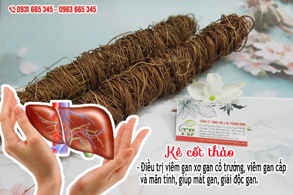 kê cốt thảo thảo dược thanh bình