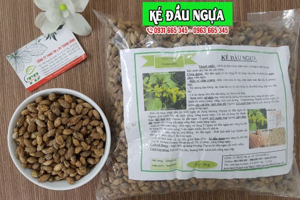 ké đầu ngựa thanh bình
