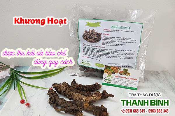 khương hoạt thảo dược thanh bình