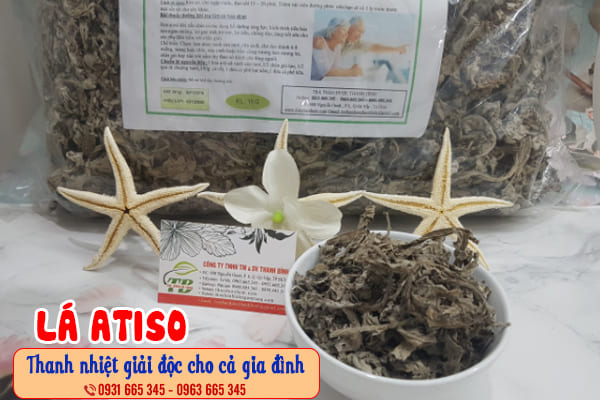 lá atiso thảo dược thanh bình