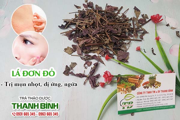 Lá đơn đỏ Thảo Dược Thanh Bình
