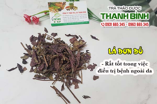 Lá đơn đỏ Thảo Dược Thanh Bình
