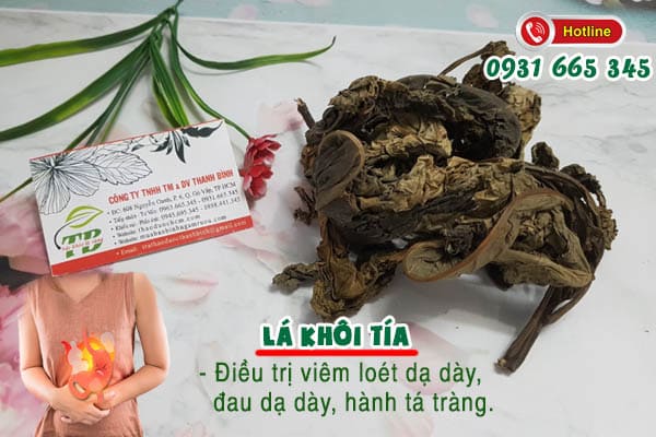 Lá khôi tía Thảo Dược Thanh Bình